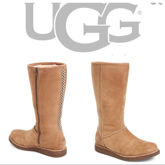 knee high ugg style boots